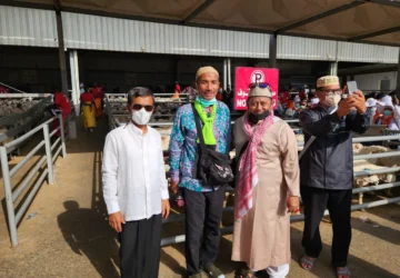 126.832 Jemaah Haji RI Telah Membayar Dam, Kambing Jadi Denda