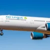 Aer Lingus Mungkin Mengurangi Penerbangan di Musim Dingin dan Panas 2027