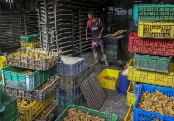 Amran: Kedelai Indonesia Masih Tertinggal, Impor Capai 2,7 Juta Ton