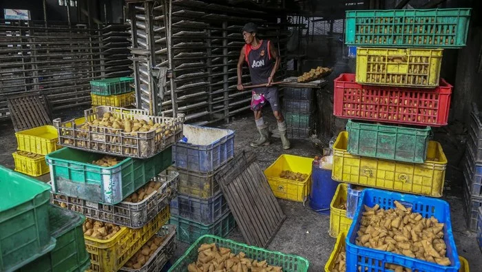 Amran: Kedelai Indonesia Masih Tertinggal, Impor Capai 2,7 Juta Ton