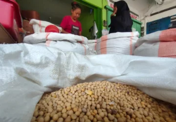 Amran Tetapkan Harga Kedelai Lokal Tembus Rp10.000 per Kg untuk Kemandirian Pertanian
