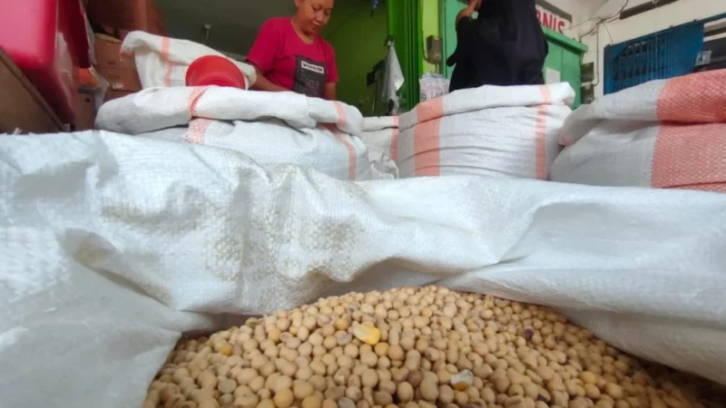 Amran Tetapkan Harga Kedelai Lokal Tembus Rp10.000 per Kg untuk Kemandirian Pertanian