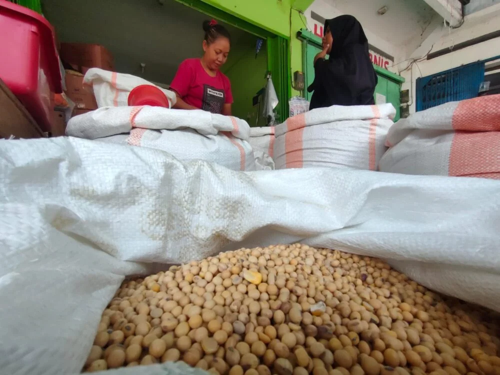 Amran Tetapkan Harga Kedelai Lokal Tembus Rp10.000 per Kg untuk Kemandirian Pertanian