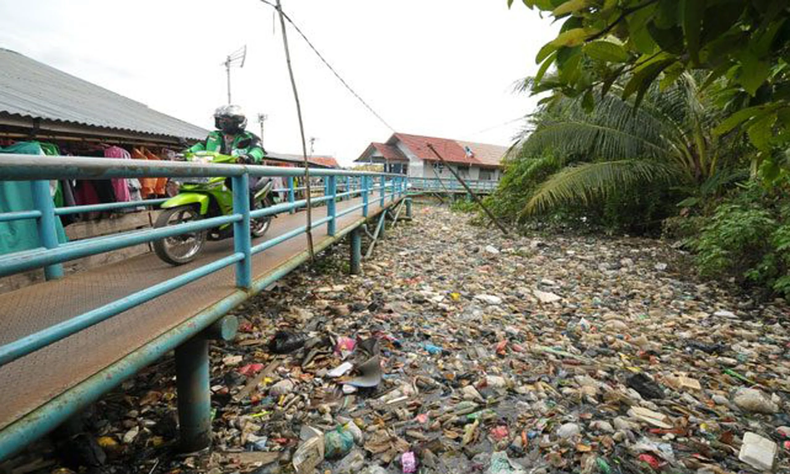 Anak Sungai di Palembang: Dari 726 menjadi 114, Risiko Lingkungan Terancam