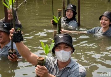 ASEAN Mendorong Empowerment Muda dalam Aksi Iklim dan Ketahanan Bencana