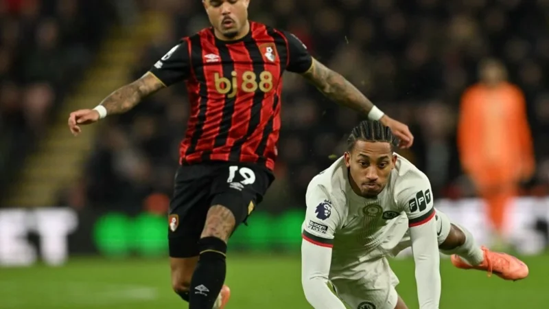 Bournemouth Siap Menerima Pertandingan Liga Eropa di Vitality Stadium
