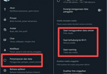 Cara Menghemat Ruang Penyimpanan HP dengan Menonaktifkan Download Otomatis WhatsApp