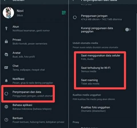 Cara Menghemat Ruang Penyimpanan HP dengan Menonaktifkan Download Otomatis WhatsApp