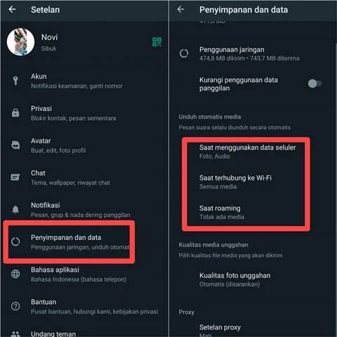Cara Menghemat Ruang Penyimpanan HP dengan Menonaktifkan Download Otomatis WhatsApp