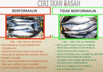 Ciri-ciri Ikan yang Mengandung Formalin: Waspadalah!