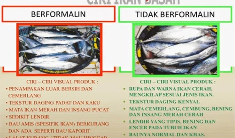 Ciri-ciri Ikan yang Mengandung Formalin: Waspadalah!