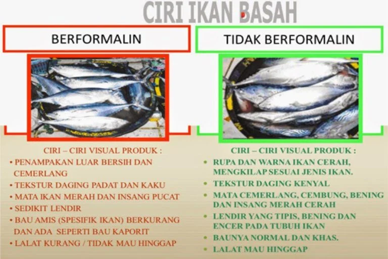 Ciri-ciri Ikan yang Mengandung Formalin: Waspadalah!