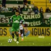 Cruzeiro vs Chapecoense AF: Pertarungan Sengit di Serie A Brasil