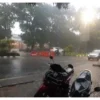 Cuaca Buruk di Bogor: Hujan dan Petir Mengguyur Wilayah