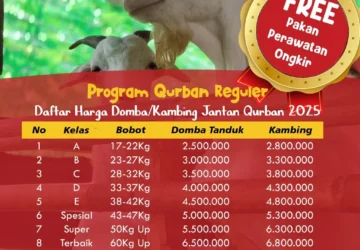 Daftar Harga Hewan Kurban di Malang 2026: Kambing dan Sapi