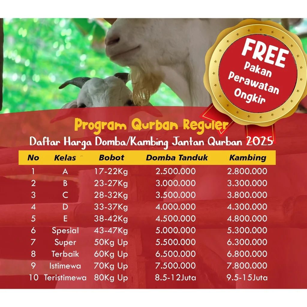 Daftar Harga Hewan Kurban di Malang 2026: Kambing dan Sapi