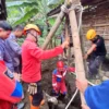 Damkar Evakuasi Sapi Setengah Ton yang Terperosok di Selokan di Jakpus