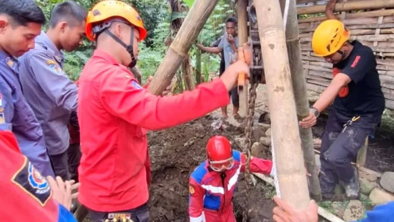 Damkar Evakuasi Sapi Setengah Ton yang Terperosok di Selokan di Jakpus