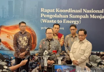 Danantara Optimis Anak Usaha PSEL Melantai di Bursa pada 2028