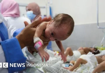 Dinsos Sleman Upayakan Kembali 11 Bayi yang Dievakuasi ke Orang Tua