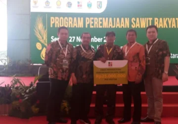 Dukungan Pengusaha untuk Peremajaan Sawit Rakyat: Permintaan kepada Pemerintah