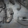 Fosil Dinosaurus Purba Ditemukan di Thailand: Mengapa Negara Ini Jadi Surga Dinosaurus?