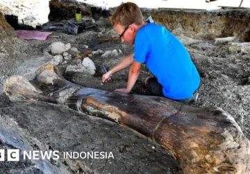 Fosil Dinosaurus Raksasa Terbesar di ASEAN Ditemukan di Thailand