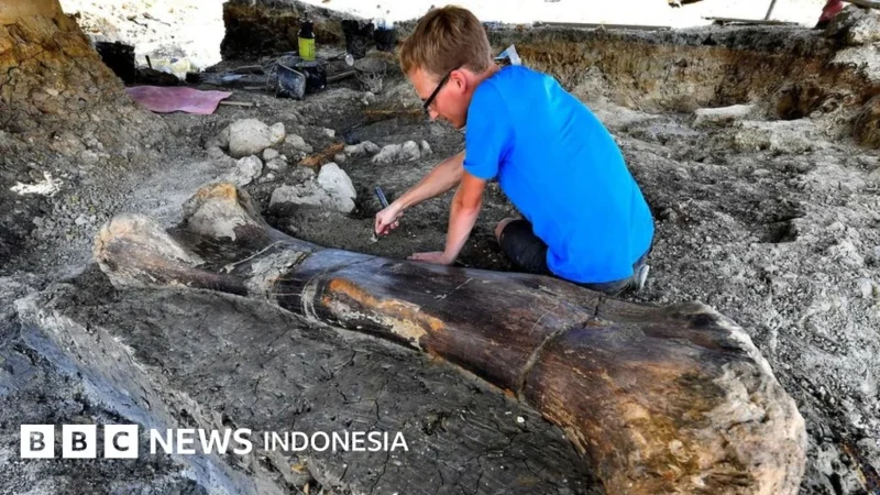 Fosil Dinosaurus Raksasa Terbesar di ASEAN Ditemukan di Thailand