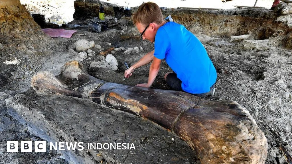 Fosil Dinosaurus Raksasa Terbesar di ASEAN Ditemukan di Thailand