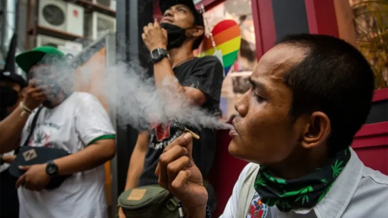 Ganja di Thailand: Penguasa Baru, Aturan Berubah