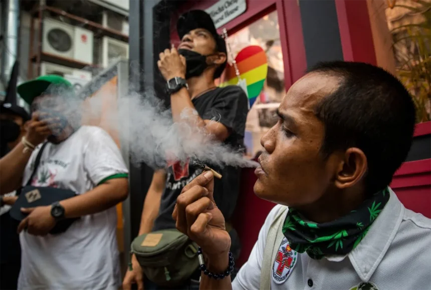 Ganja di Thailand: Penguasa Baru, Aturan Berubah