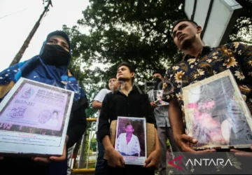 Hampir Setengah Orang Dewasa di Dunia Terdeteksi Korban Pelanggaran Digital