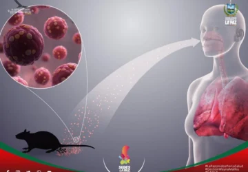 Hantavirus: Mungkinkah Menjadi Ancaman Seperti COVID-19?
