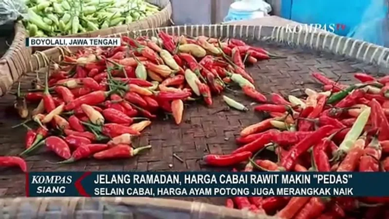 Harga Cabai Rawit Mencapai Rp 90 Ribu/Kg, Pedagang Keluhkan Pasokan