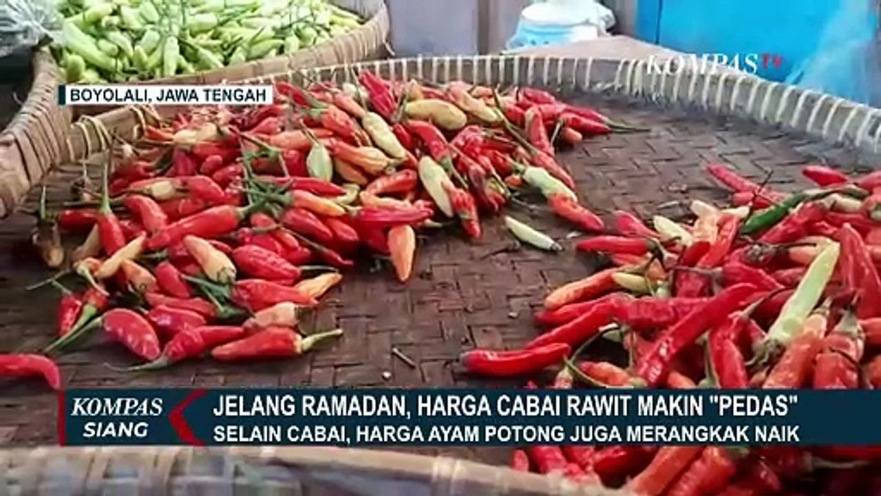 Harga Cabai Rawit Mencapai Rp 90 Ribu/Kg, Pedagang Keluhkan Pasokan