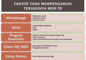 Indonesia Maju dalam Pengendalian TB: Faktor-Faktor yang Membantu