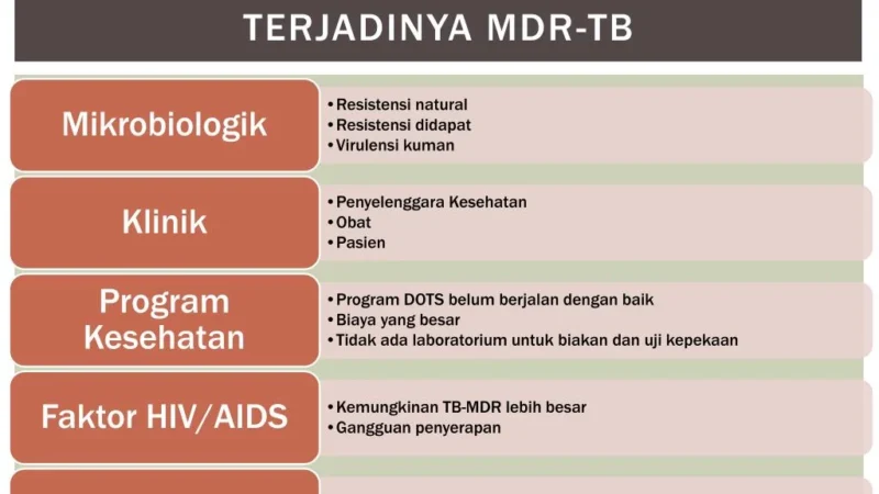 Indonesia Maju dalam Pengendalian TB: Faktor-Faktor yang Membantu