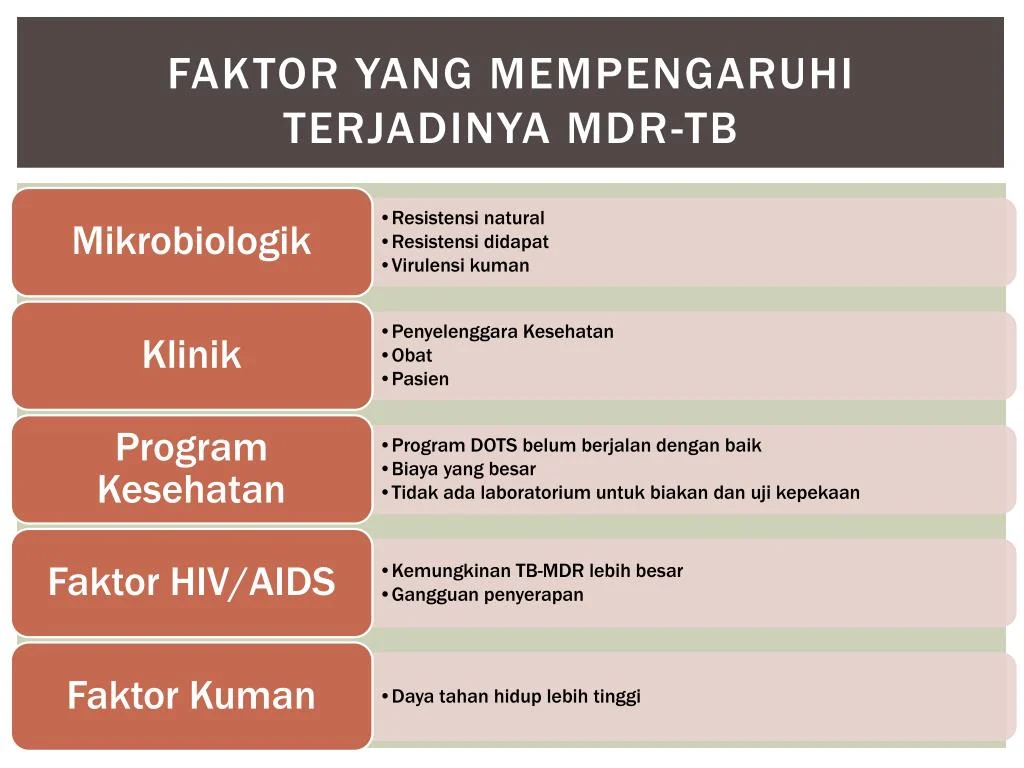 Indonesia Maju dalam Pengendalian TB: Faktor-Faktor yang Membantu