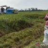 Inisiatif KLM untuk Mendorong Sektor Pertanian dan Hilirisasi