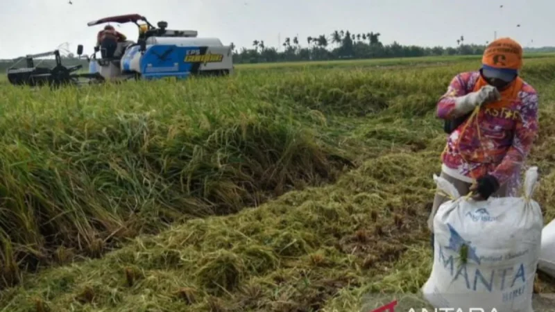 Inisiatif KLM untuk Mendorong Sektor Pertanian dan Hilirisasi