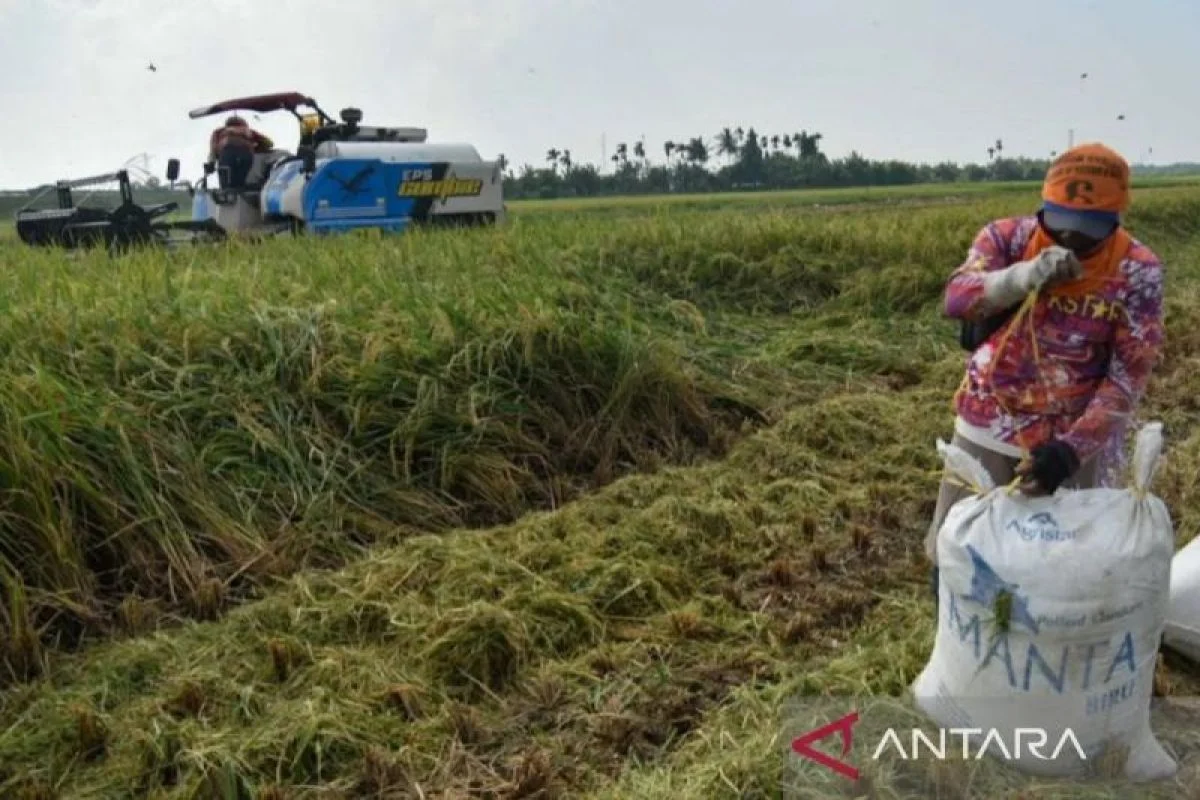 Inisiatif KLM untuk Mendorong Sektor Pertanian dan Hilirisasi
