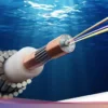 Kabel Laut Pukpuk: Jembatan Digital Baru untuk Papua dan Papua Nugini