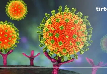 Kemenkes Minta Kontak Erat Hantavirus Kapal MV Hondius untuk WFH dan Karantina