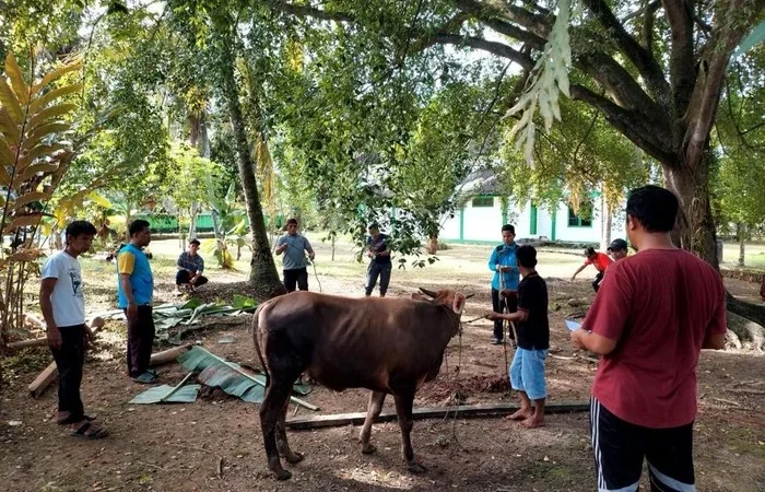 Kemensos Salurkan 295 Ekor Hewan Kurban di Idul Adha 1447 H