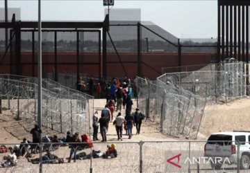 Ketegangan di Minnesota: Imigran Somalia Terancam Deportasi di Tengah Ketidakpastian Hukum