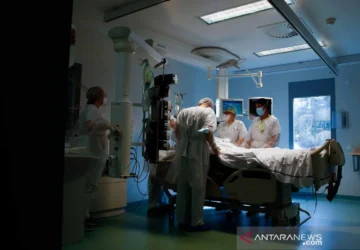 Kondisi Pasien Pertama Hantavirus di Prancis Semakin Memburuk