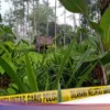 Korban Pemerkosaan Ayah di Kendal Masih Berstatus Saksi di Kasus Buang Bayi