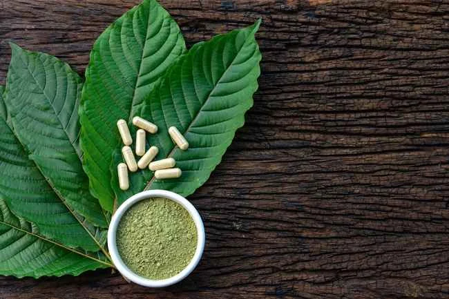 Kratom: Obat yang Membuat Remaja Remaja Menjadi Tergantung