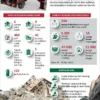 Krisis Menghantui Dunia: Krisis Kesehatan di Palestina, Krisis Energi Dunia, dan Krisis Finansial di Indonesia