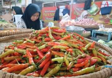 Lonjakan Harga Pangan: Cabai Tembus Harga Tinggi, Beban Konsumen Meningkat